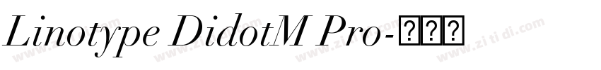 Linotype DidotM Pro字体转换